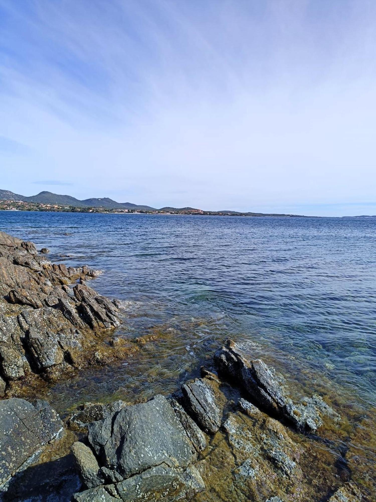 Domo De Centro, Centro Di * Olbia