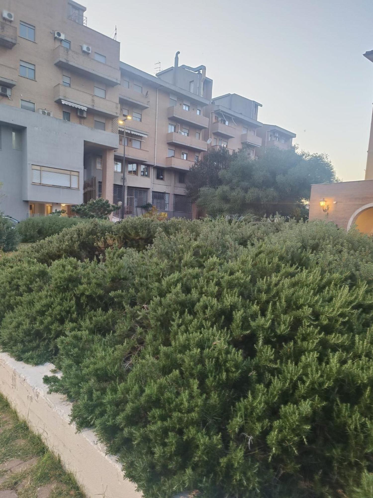 Domo De Centro, Centro Di